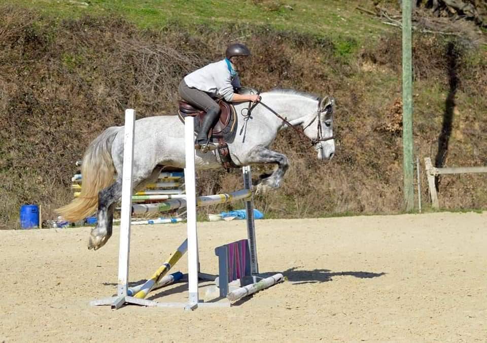 Chuckberry Melody - Connemara 2012 by IMPERATOR MELODY