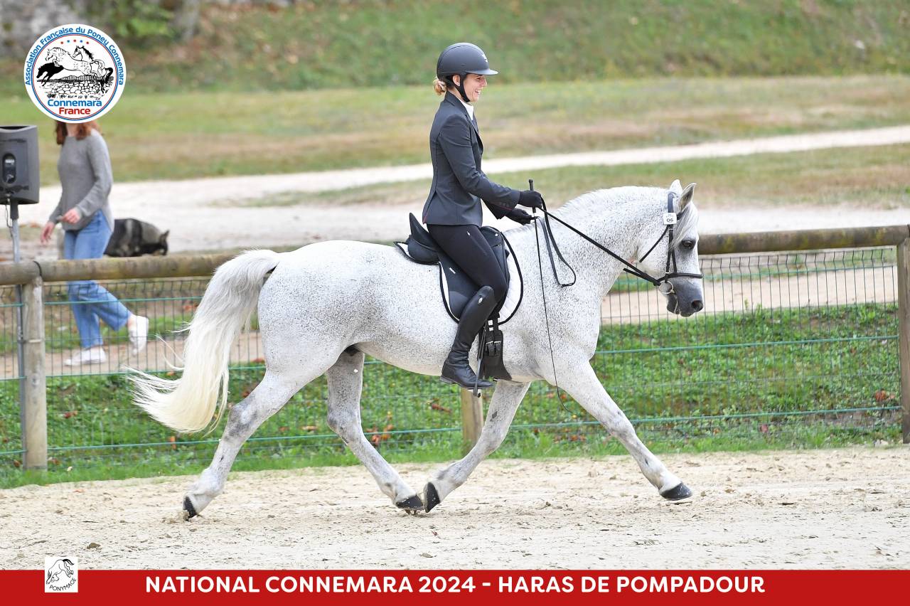 Chuckberry Melody - Connemara 2012 by IMPERATOR MELODY