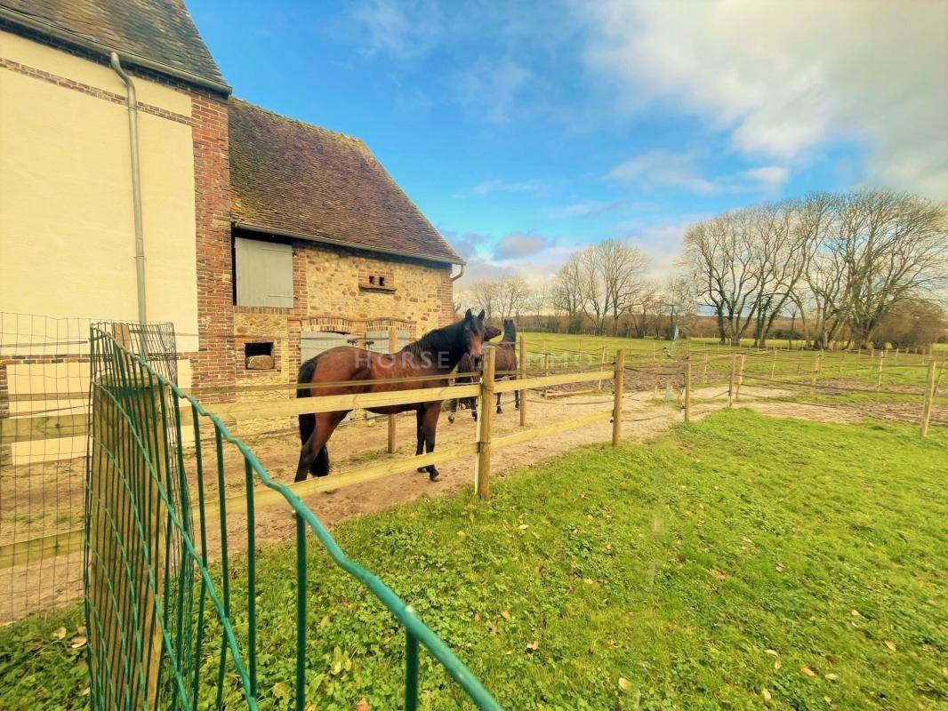 Equestrian property  Orne