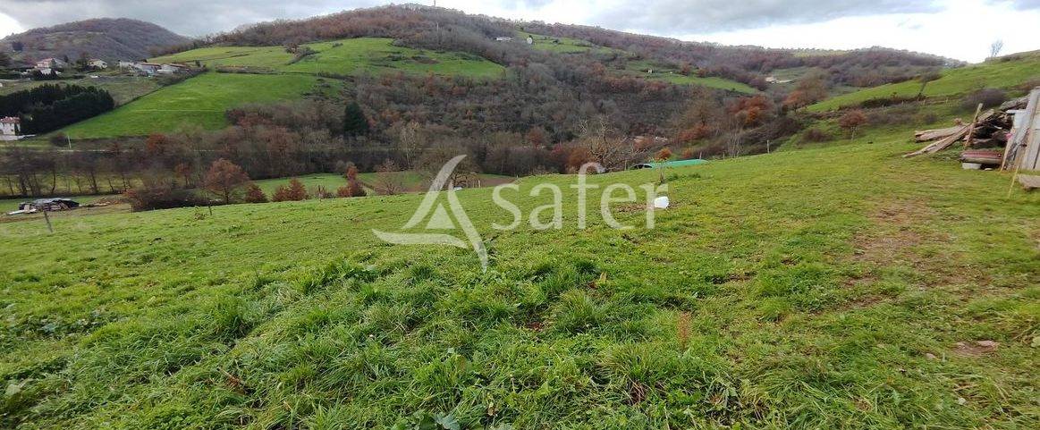 Other agricultural property  Rhône
