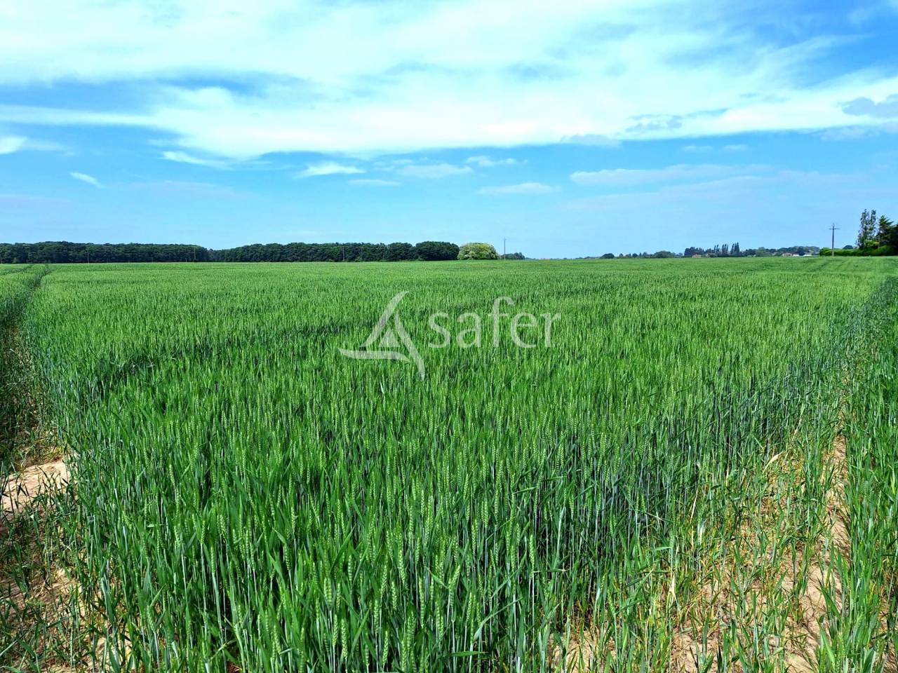 Other agricultural property  Loiret
