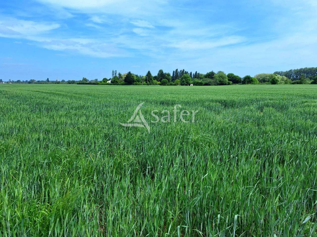 Other agricultural property  Loiret