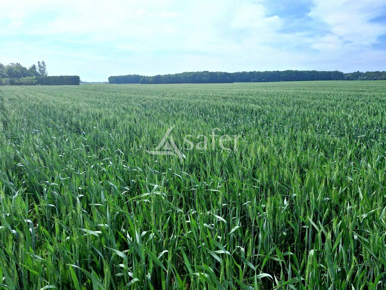 Other agricultural property  Loiret