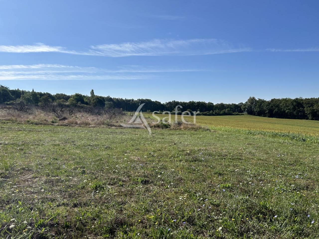 Other agricultural property  Lot-et-Garonne