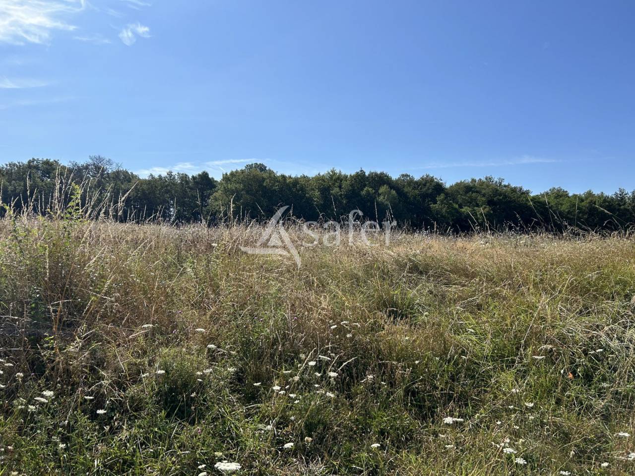 Other agricultural property  Lot-et-Garonne