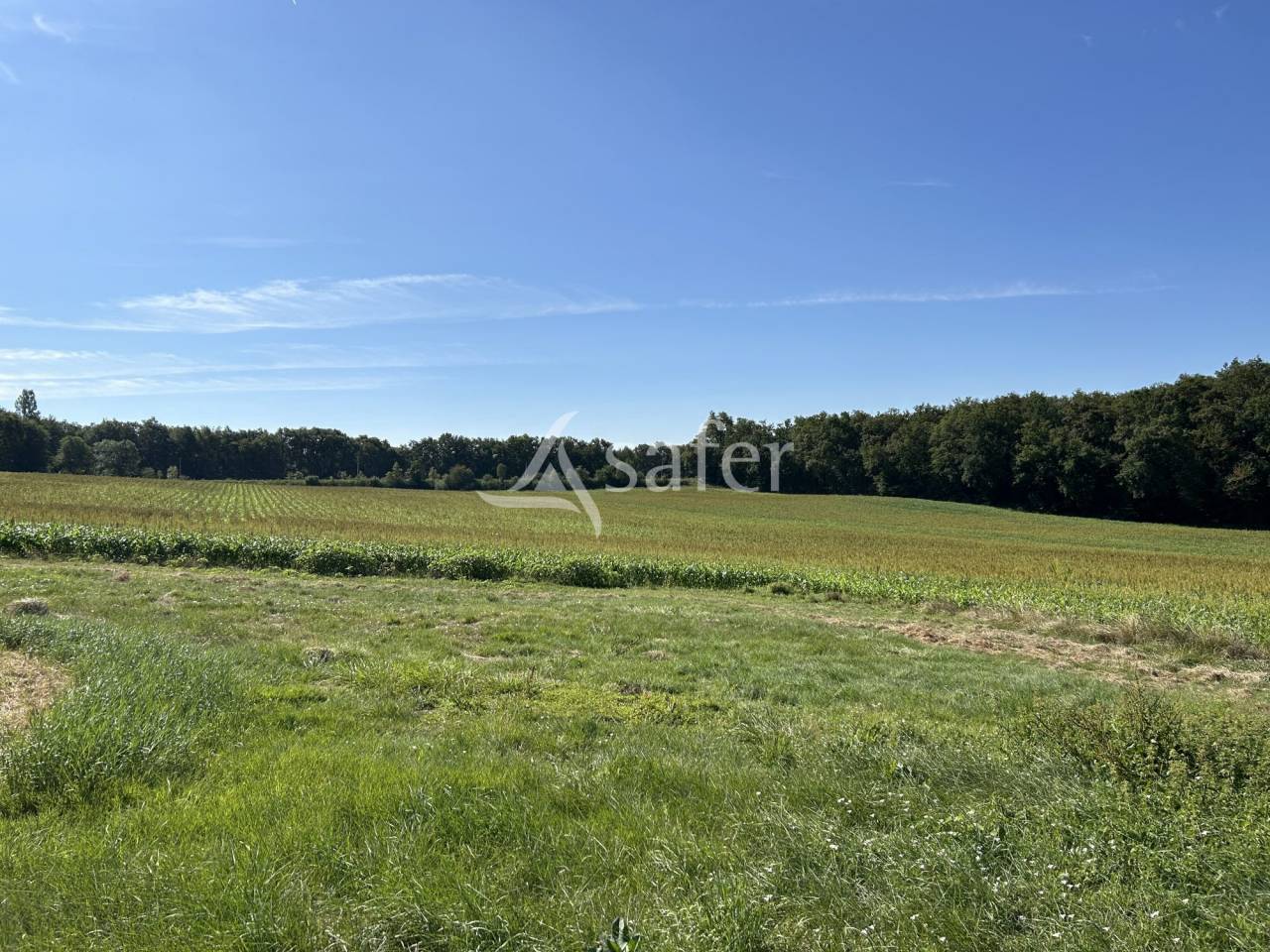 Other agricultural property  Lot-et-Garonne