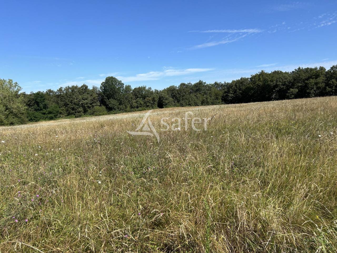 Other agricultural property  Lot-et-Garonne