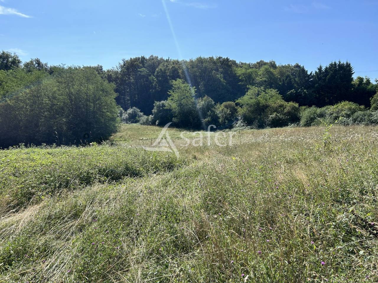 Other agricultural property  Lot-et-Garonne