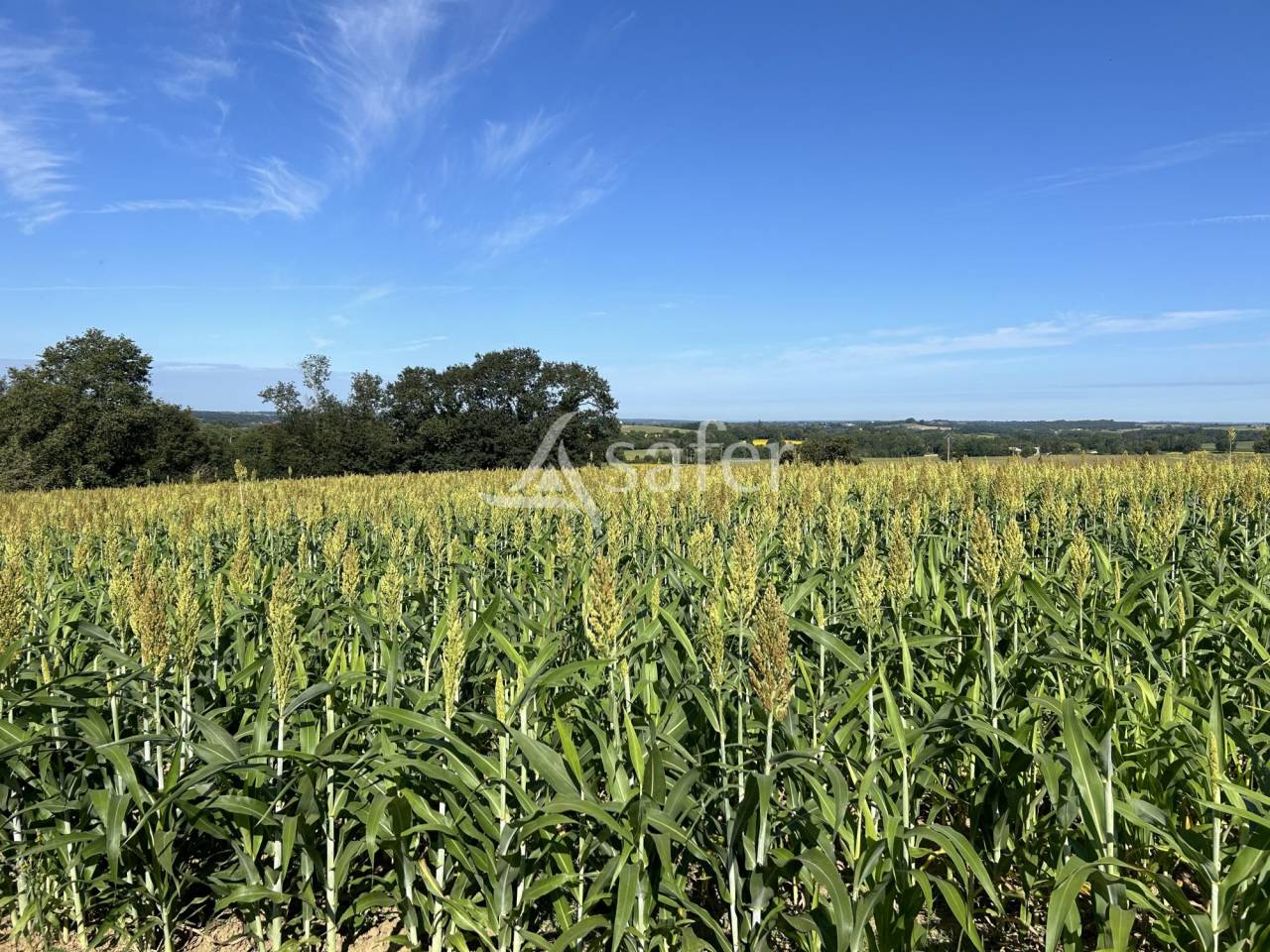 Other agricultural property  Lot-et-Garonne