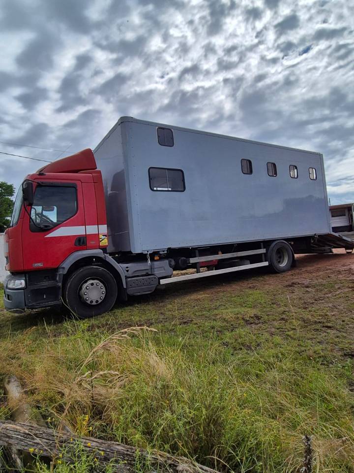 Horsebox NON-HGV Renault midlum 2004 Used