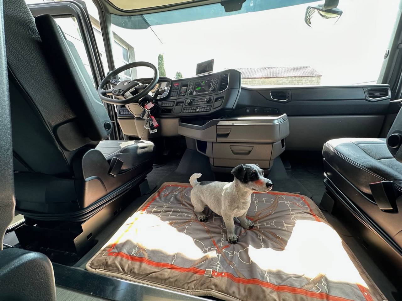 Horsebox NON-HGV Scania SCANIA 0 New