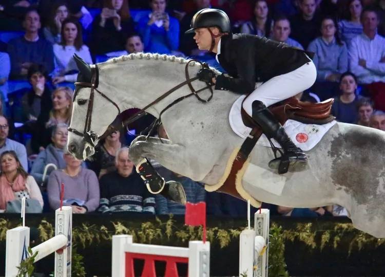 Mare Selle Français For sale 2014 Bay