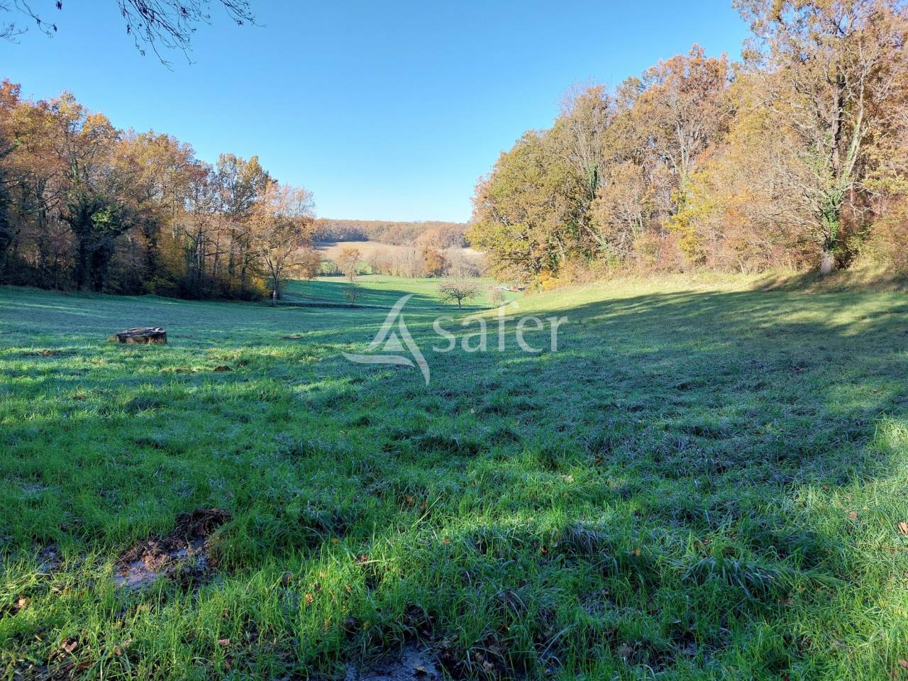 Other country property  Dordogne