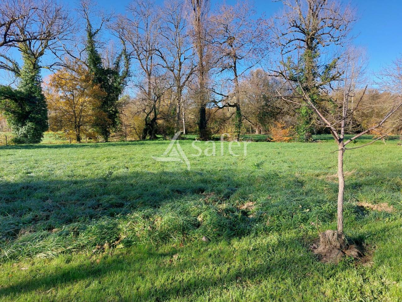 Other country property  Dordogne