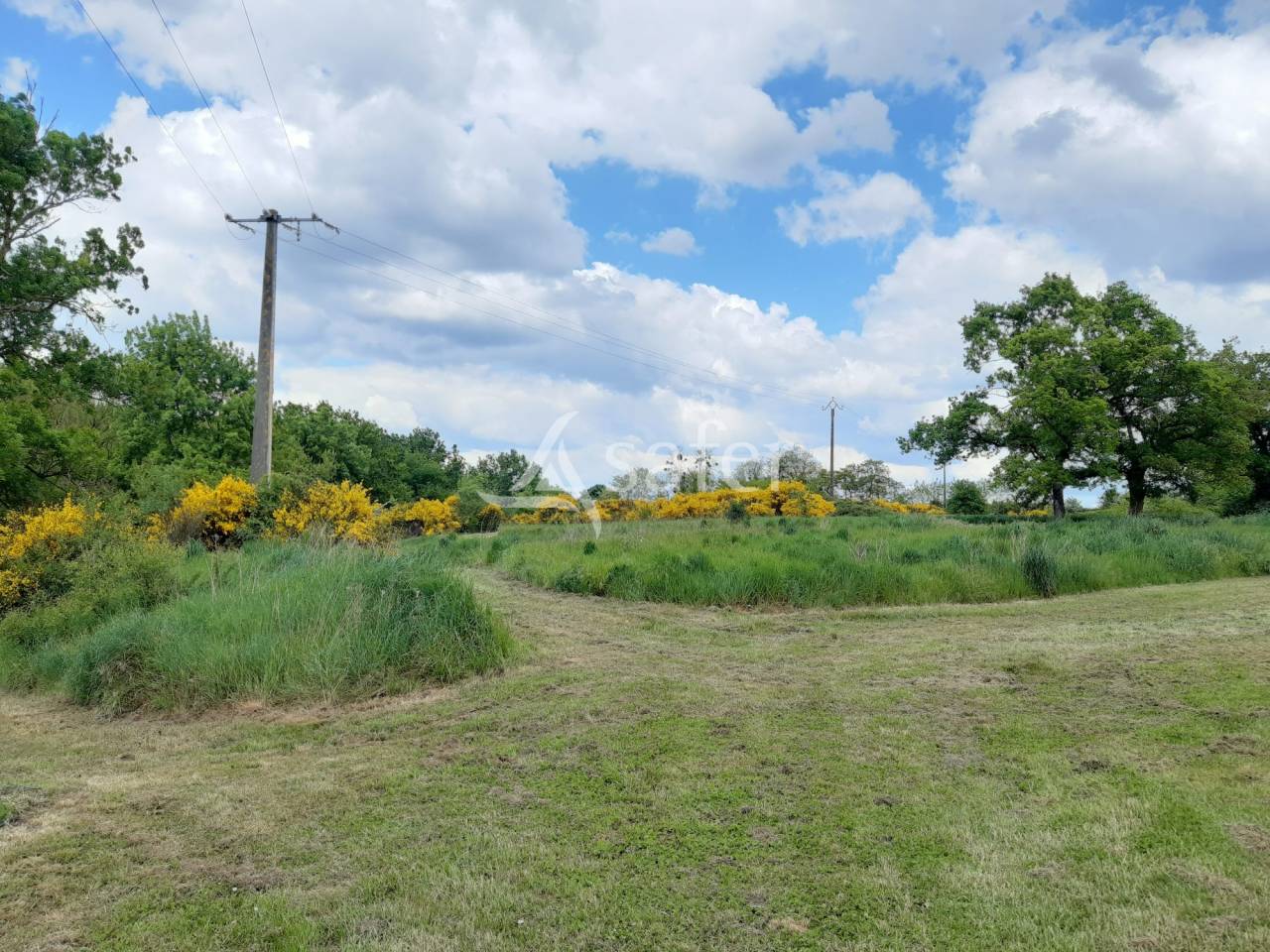 Other agricultural property  Deux-Sèvres