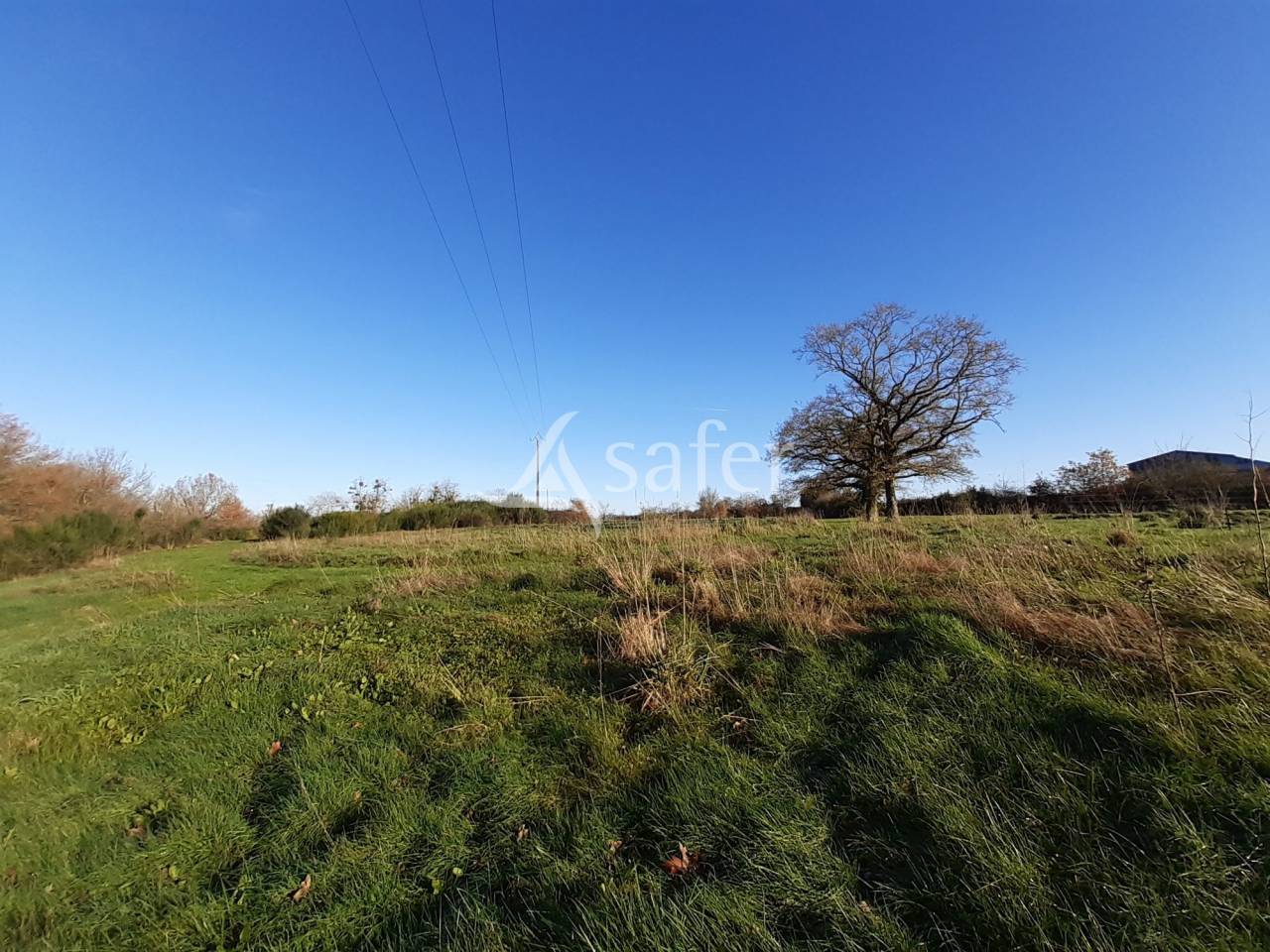 Other agricultural property  Deux-Sèvres
