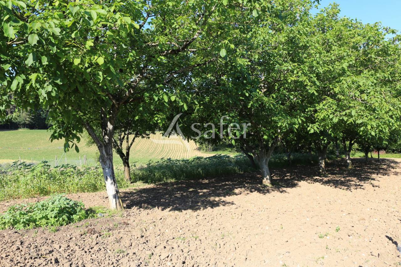 Other country property  Lot