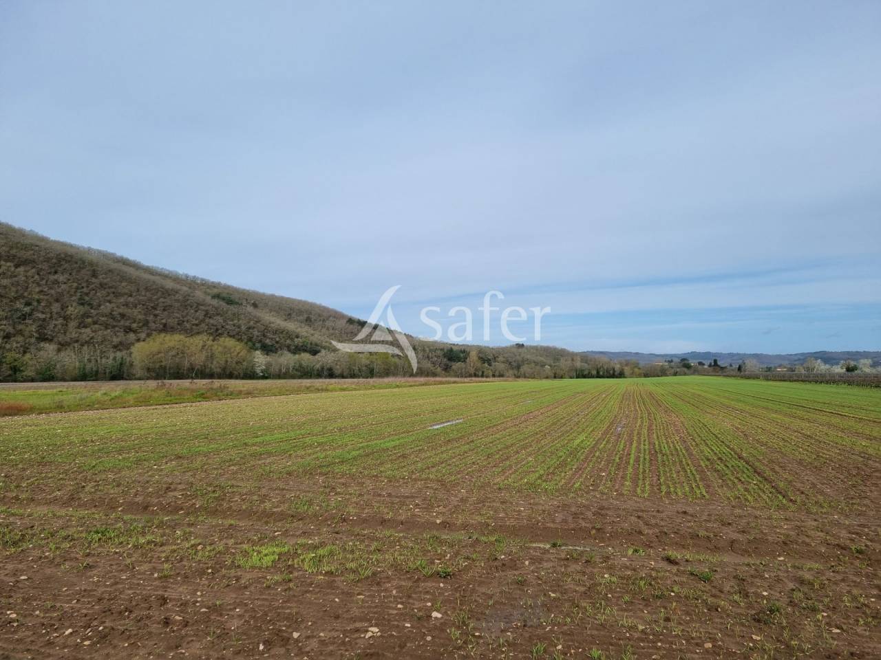 Other country property  Lot