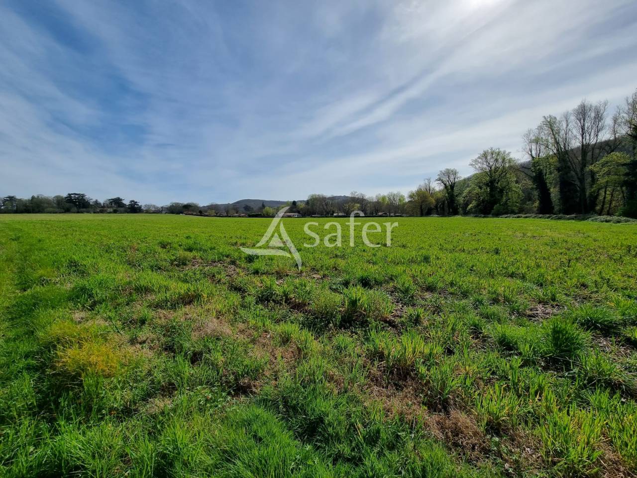 Other country property  Lot