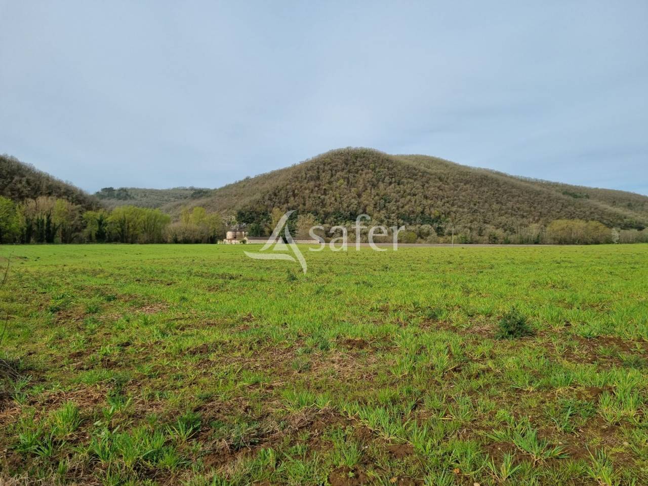 Other country property  Lot