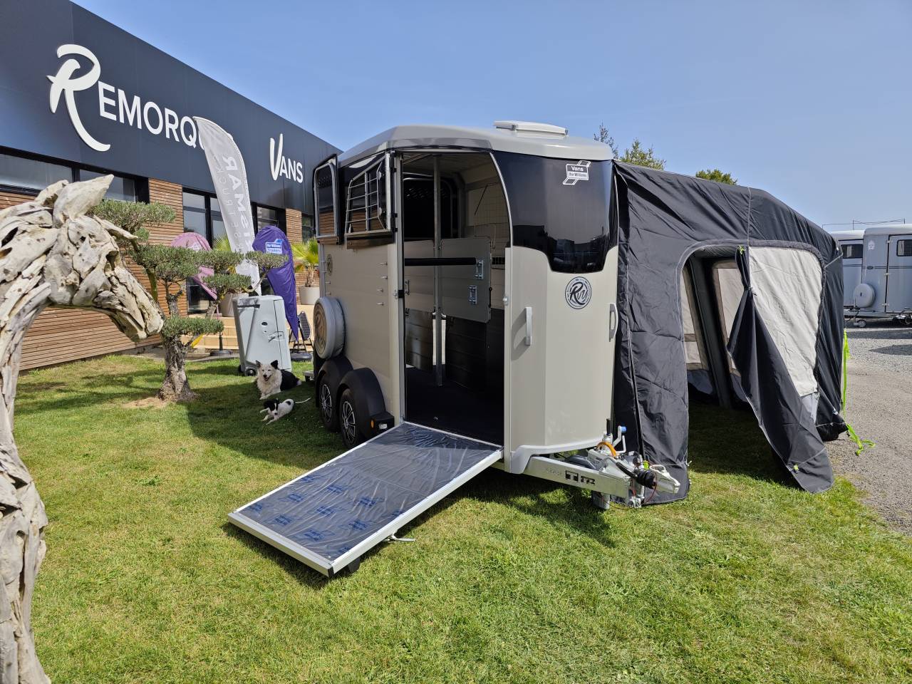 Horse trailer Ifor Williams Hbx506 2 Stalls 2025 New