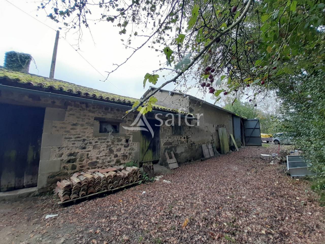 Equestrian property  Deux-Sèvres