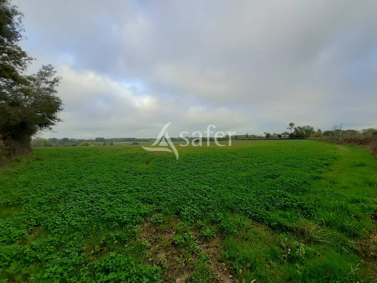 Equestrian property  Deux-Sèvres