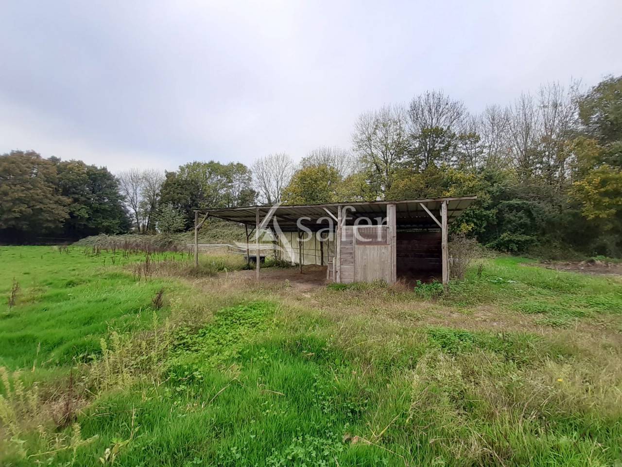 Equestrian property  Deux-Sèvres