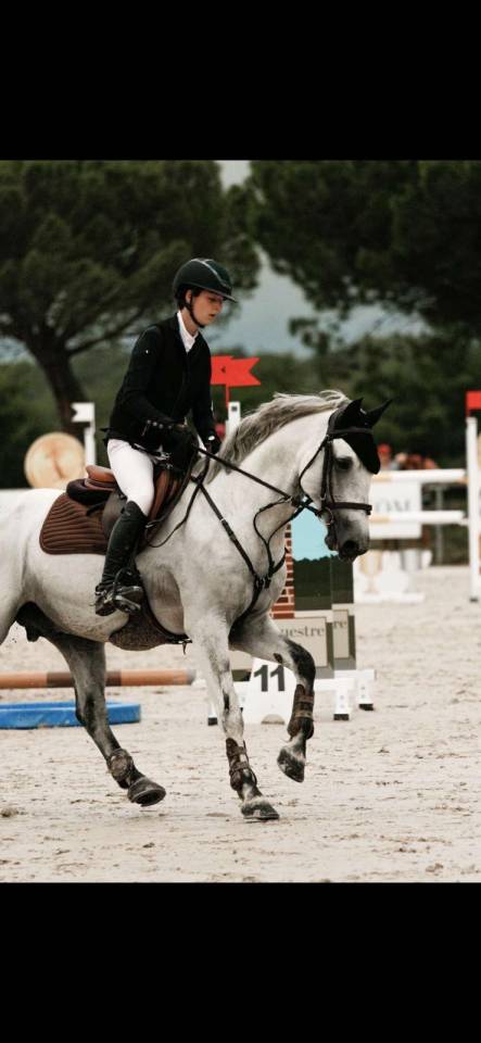 Augenblick YSANDRE  - French Saddle Pony 2010