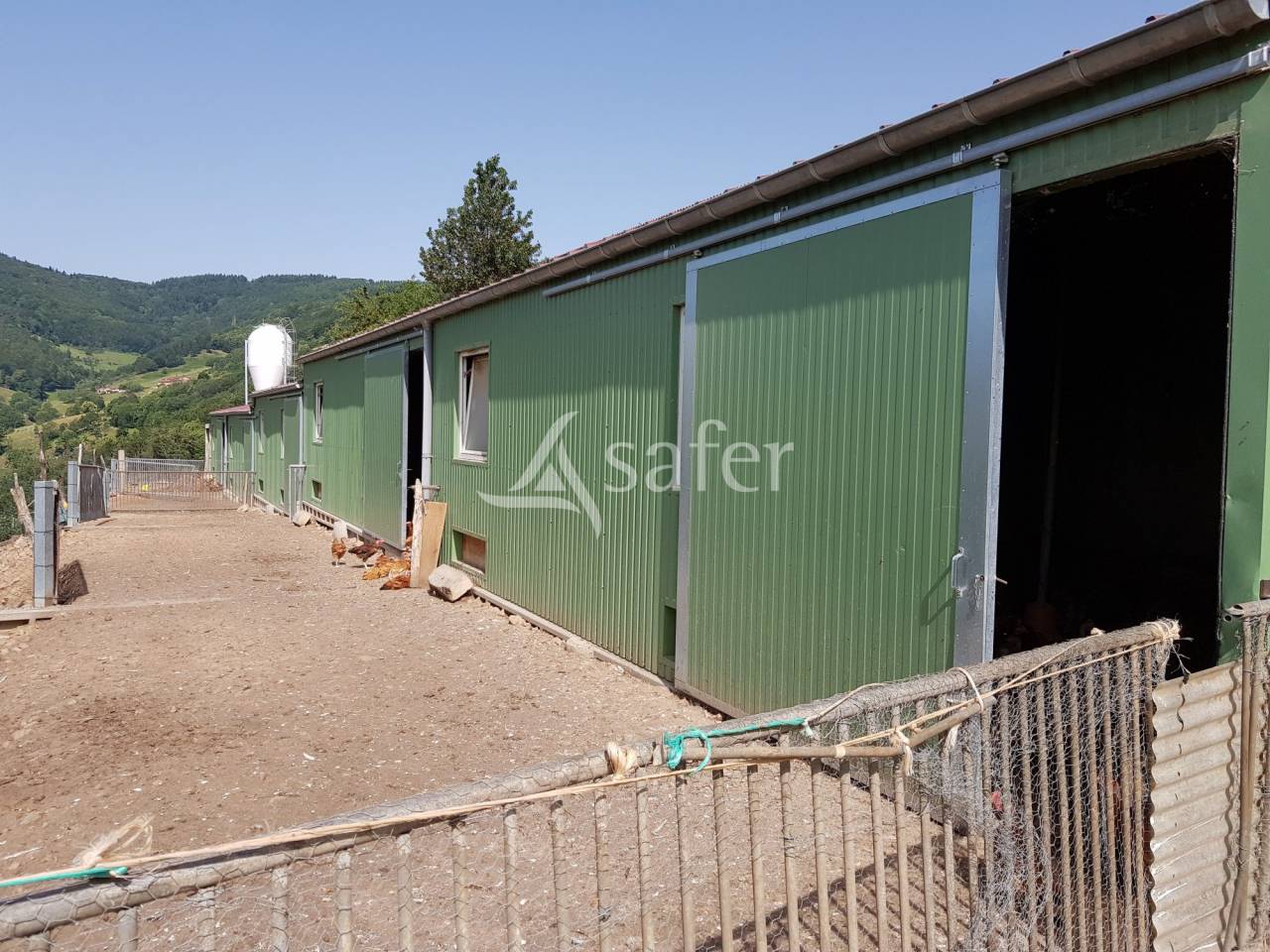 Other agricultural property  Rhône