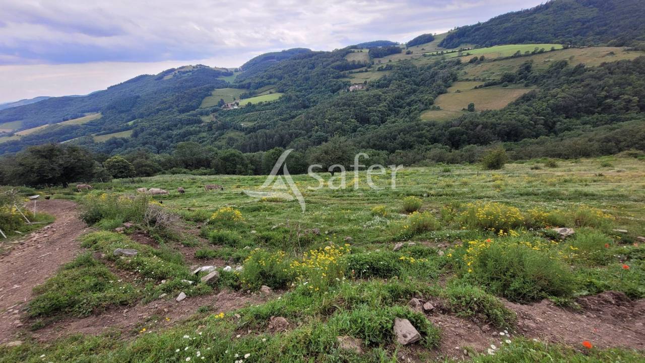 Other agricultural property  Rhône