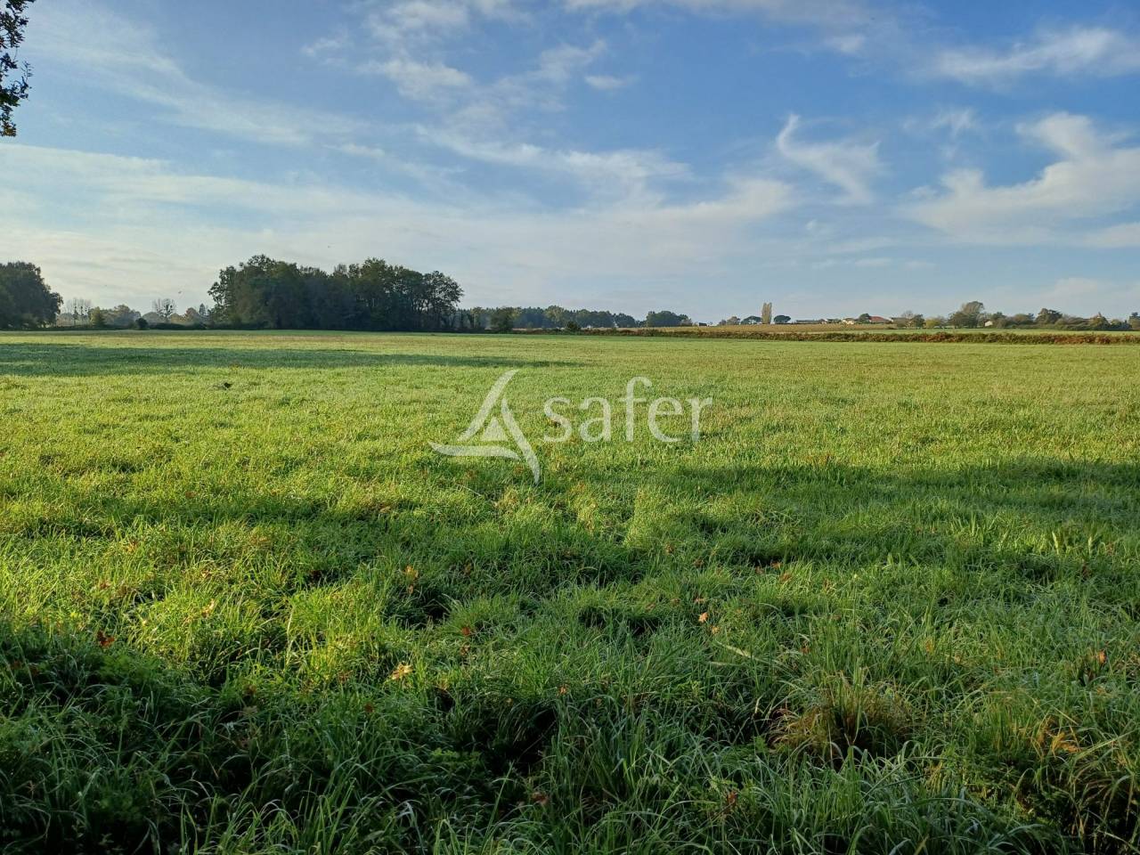Other agricultural property  Charente-Maritime