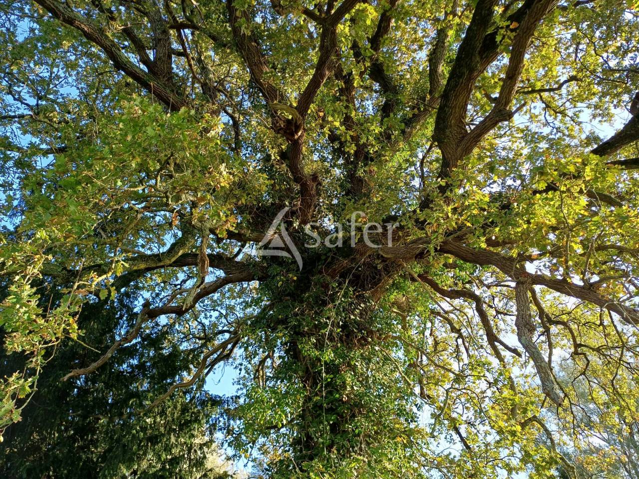 Other agricultural property  Charente-Maritime