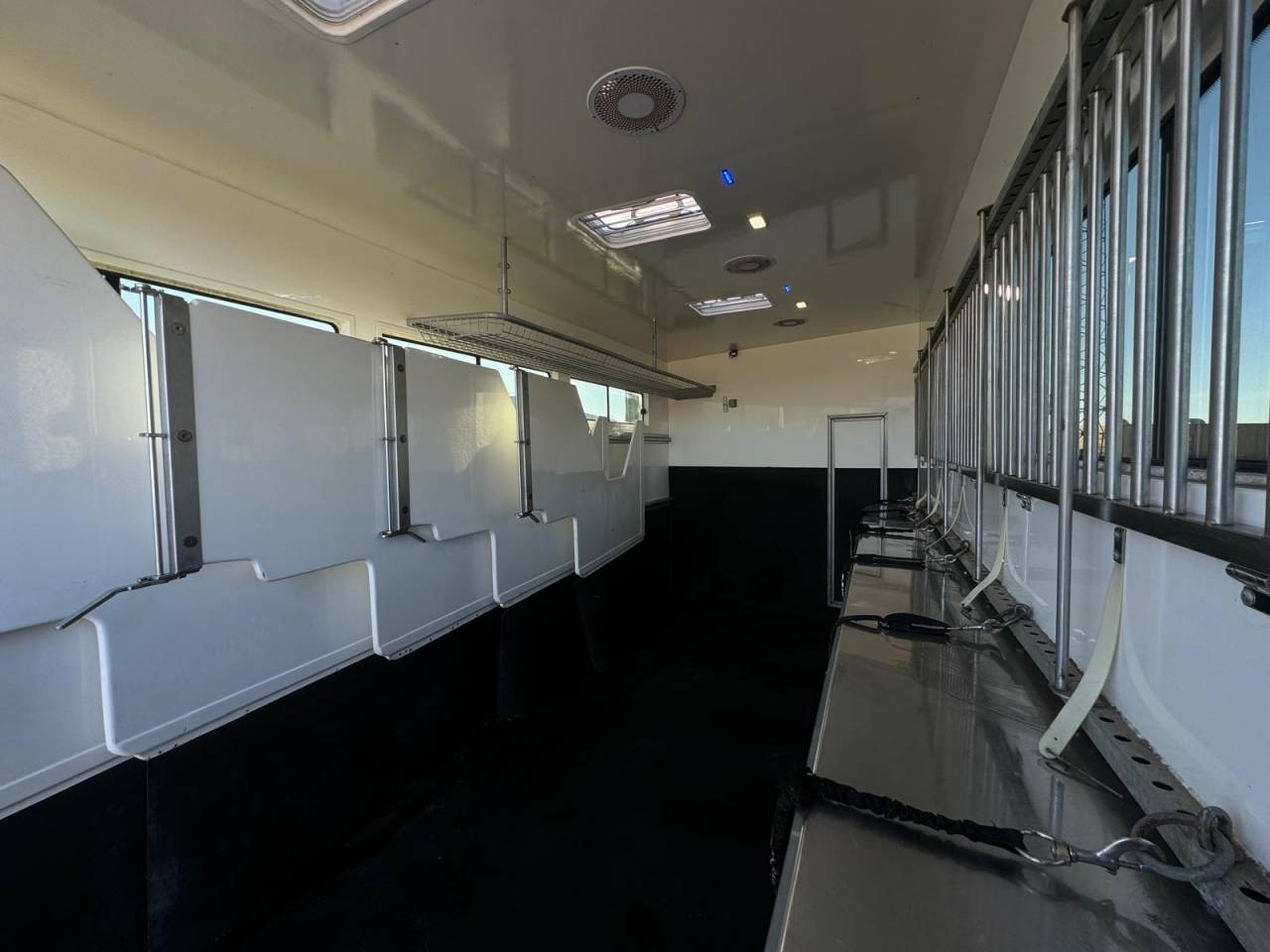 Horsebox NON-HGV - Other brand - PAILLARD 2023 Used