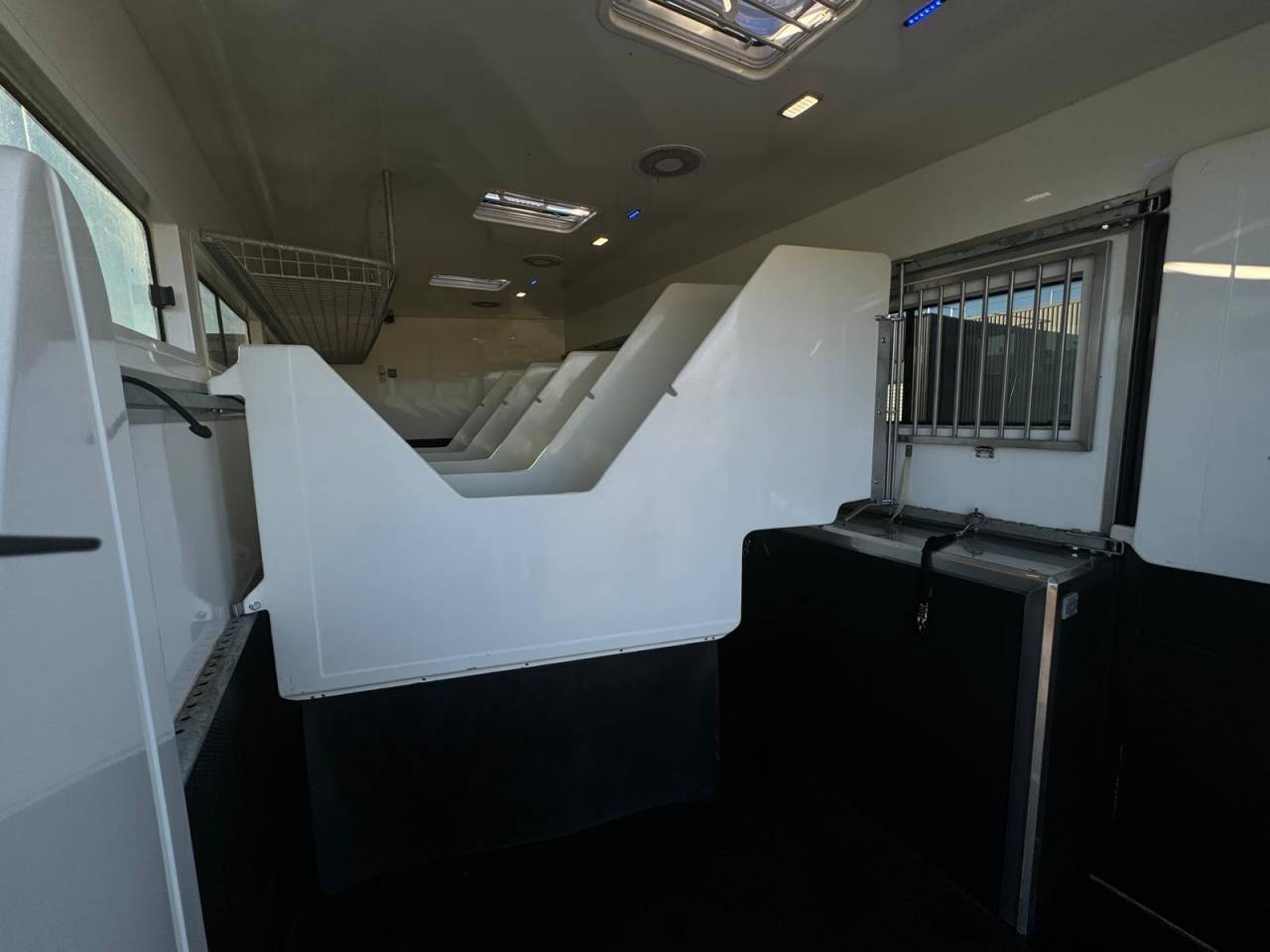 Horsebox NON-HGV - Other brand - PAILLARD 2023 Used