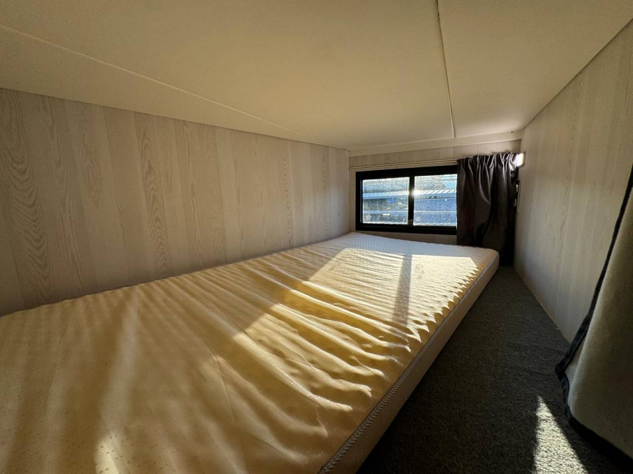 Horsebox NON-HGV - Other brand - PAILLARD 2023 Used