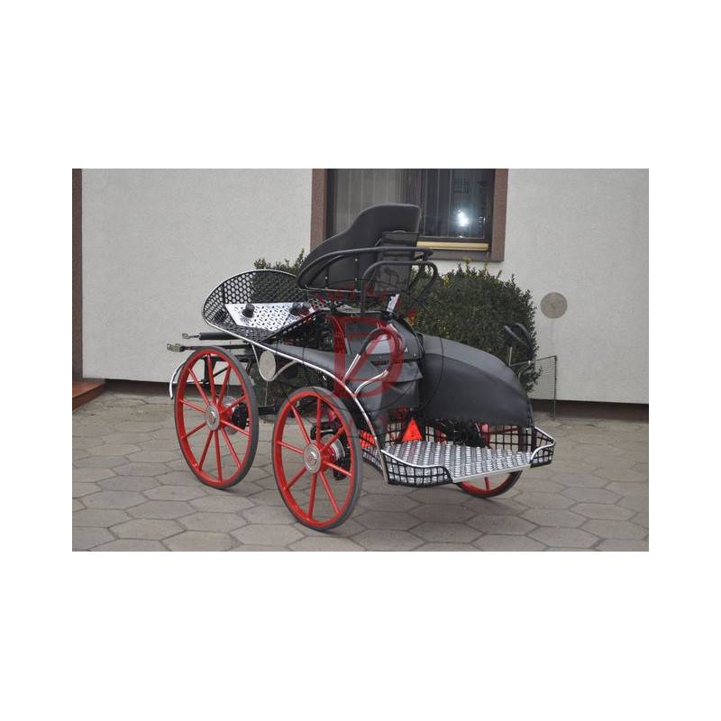 Carriage - Marathon for competition Dominiak  