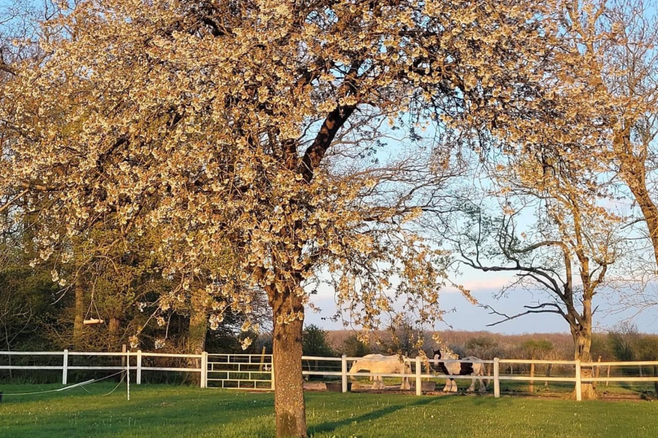 Equestrian property  Eure