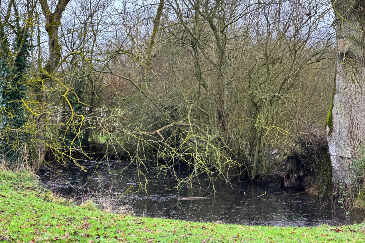 Equestrian property  Eure