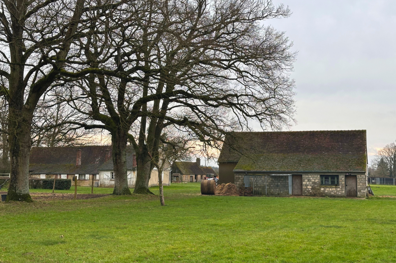 Equestrian property  Eure