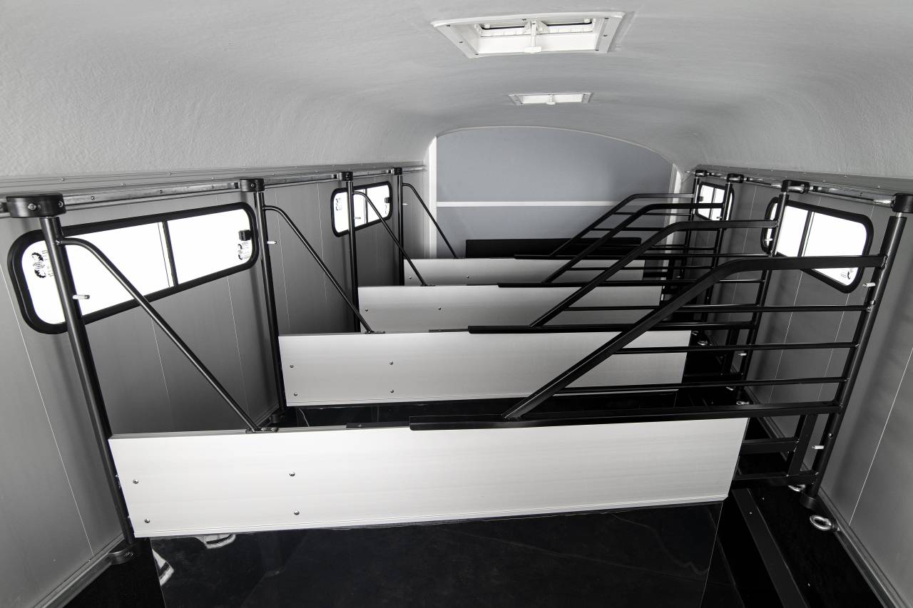 Horse trailer Cheval Liberte Islandic 5 Stalls 2025 New