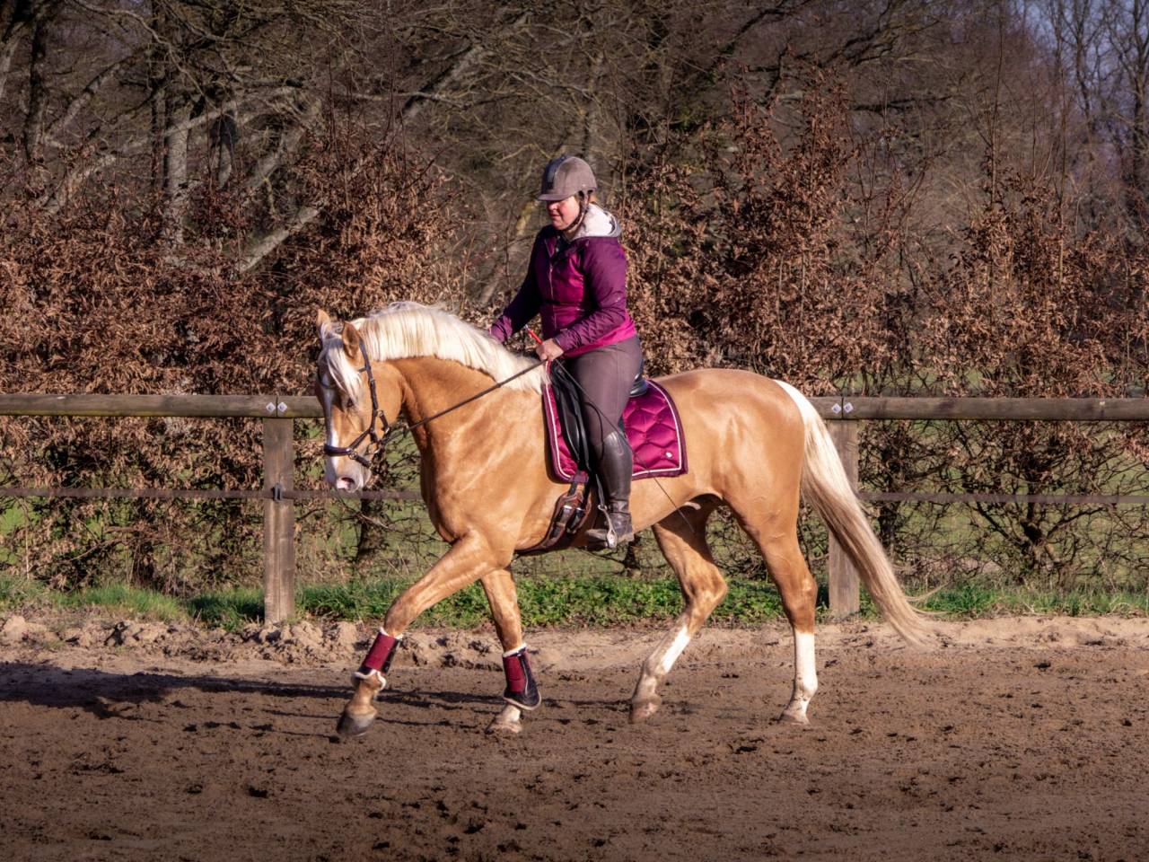 Karat-J  - Wielkopolski  2019 by Arktos