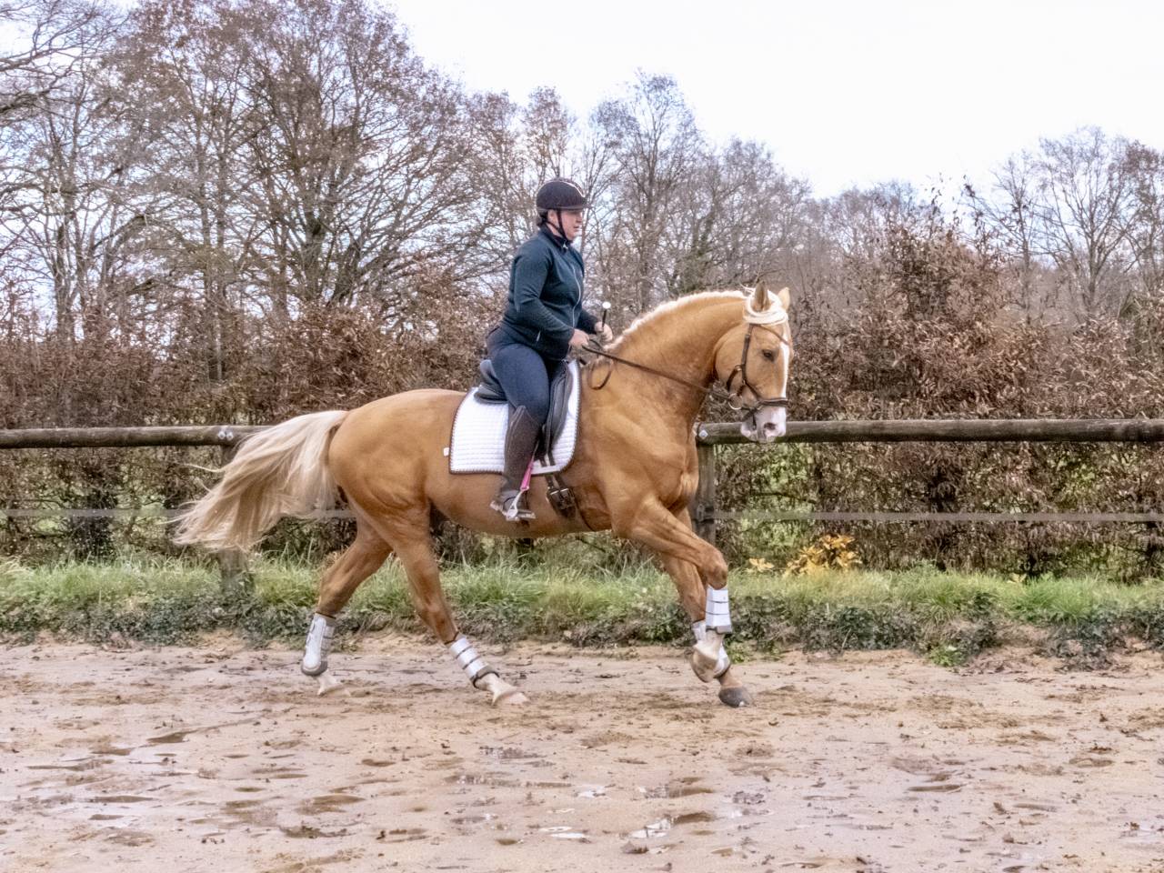 Karat-J  - Wielkopolski  2019 by Arktos