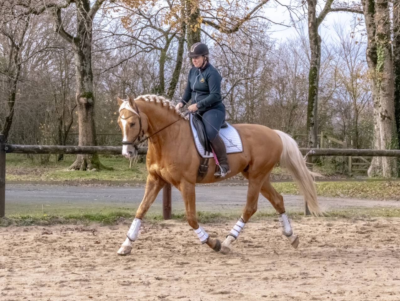 Karat-J  - Wielkopolski  2019 by Arktos