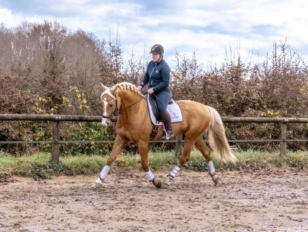 Karat-J  - Wielkopolski  2019 by Arktos