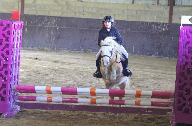 CRUNCH DU SOTTIER - Welsh Pony (Section A) 2012 by POLARIS RED ROCK