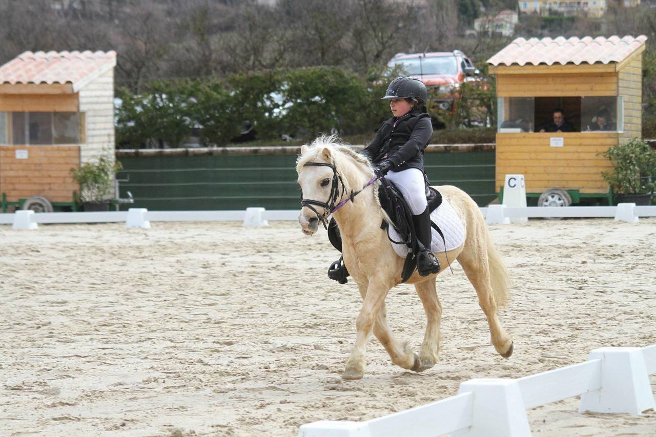 CRUNCH DU SOTTIER - Welsh Pony (Section A) 2012 by POLARIS RED ROCK