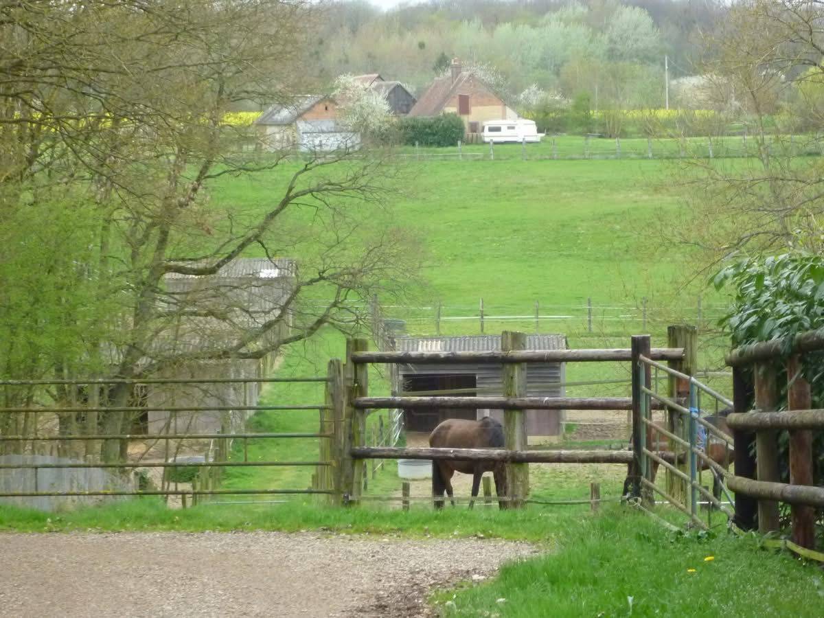 Stud farm  Eure-et-Loir
