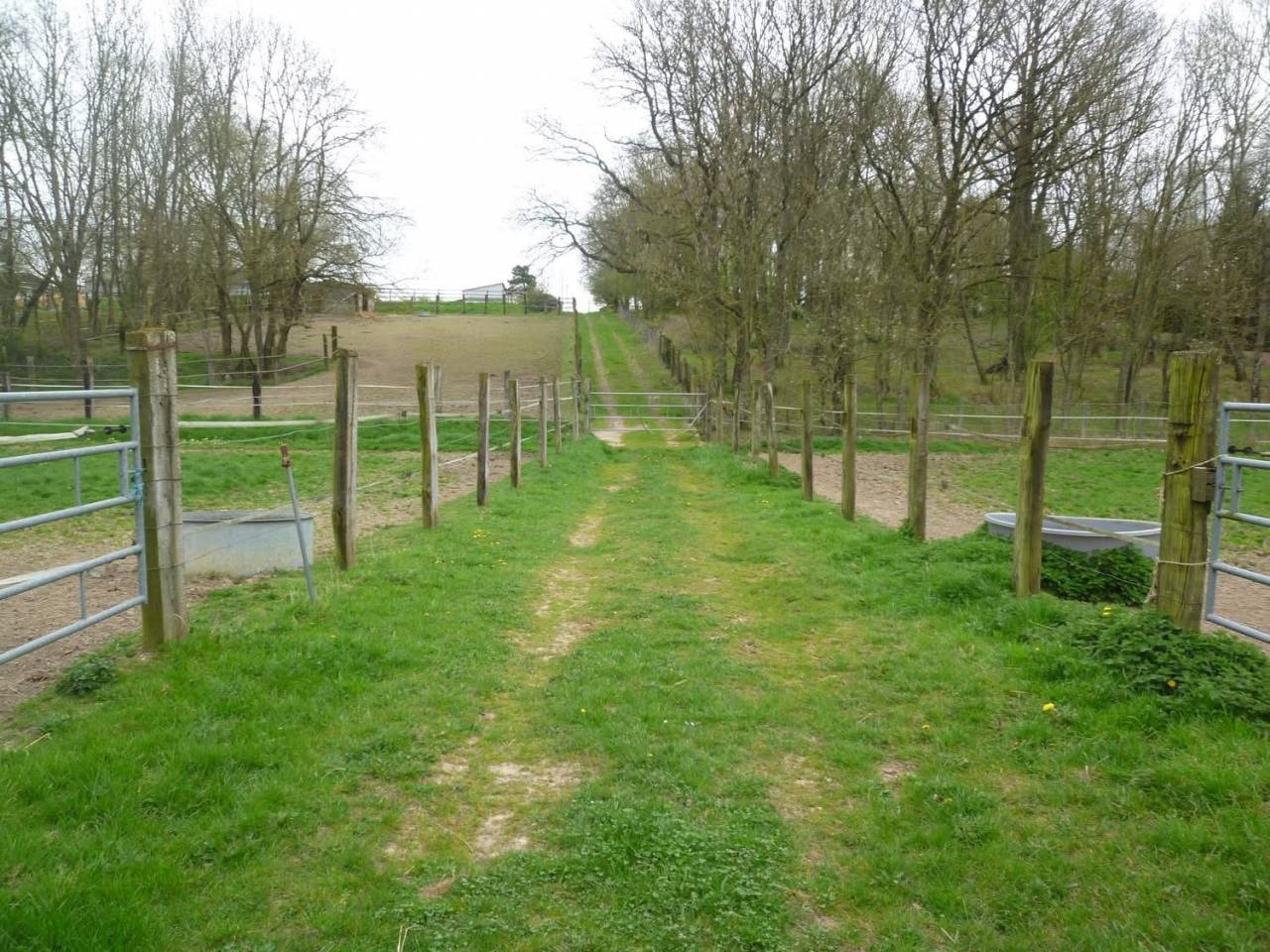 Stud farm  Eure-et-Loir