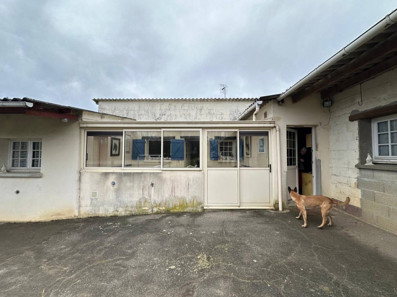 Stud farm  Eure-et-Loir